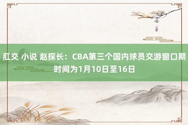 肛交 小说 赵探长：CBA第三个国内球员交游窗口期时间为1月10日至16日