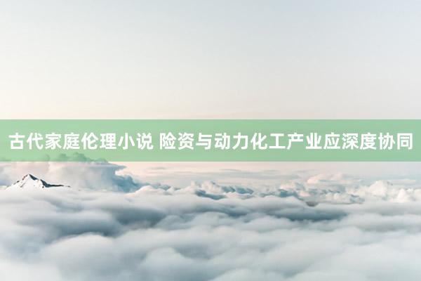 古代家庭伦理小说 险资与动力化工产业应深度协同