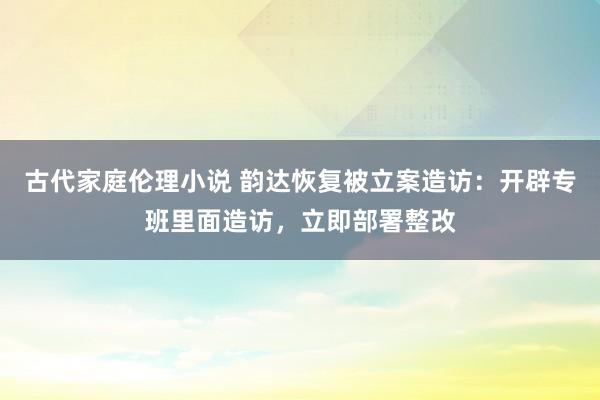 古代家庭伦理小说 韵达恢复被立案造访：开辟专班里面造访，立即部署整改