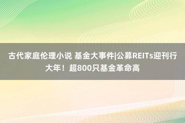 古代家庭伦理小说 基金大事件|公募REITs迎刊行大年！超800只基金革命高