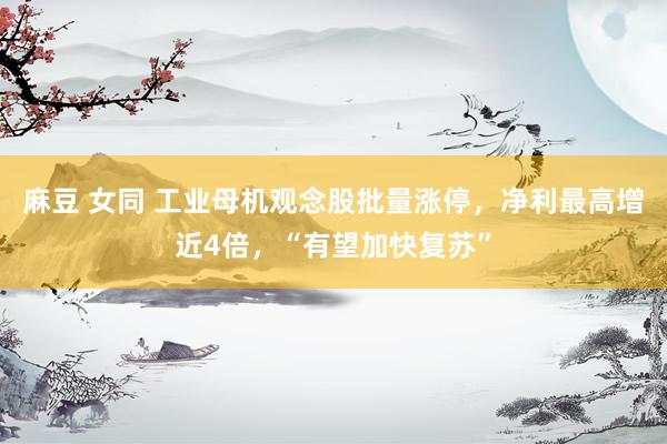 麻豆 女同 工业母机观念股批量涨停，净利最高增近4倍，“有望加快复苏”