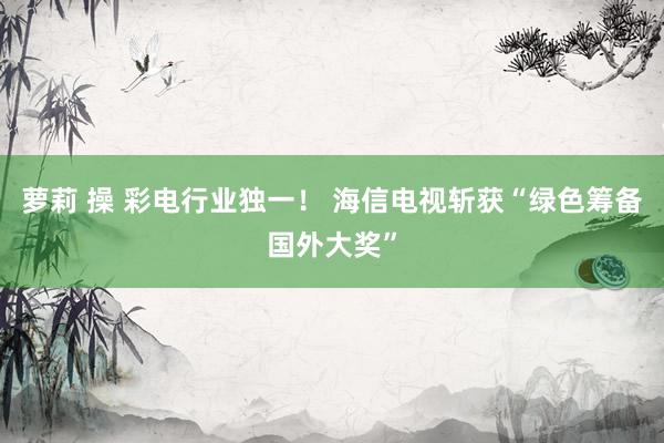 萝莉 操 彩电行业独一！ 海信电视斩获“绿色筹备国外大奖”