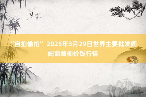 “自拍偷拍” 2025年3月29日世界主要批发阛阓葡萄柚价钱行情