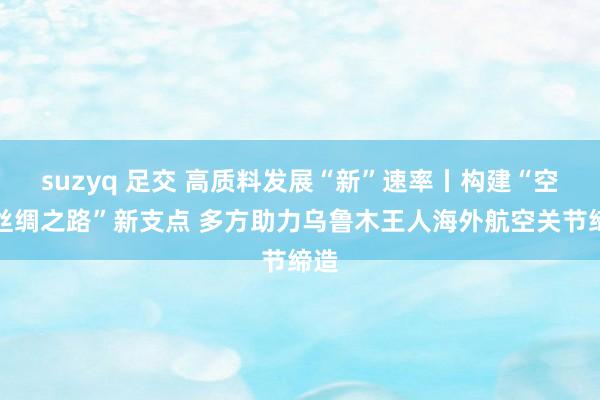 suzyq 足交 高质料发展“新”速率丨构建“空中丝绸之路”新支点 多方助力乌鲁木王人海外航空关节缔造