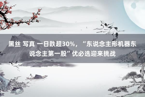 黑丝 写真 一日跌超30%，“东说念主形机器东说念主第一股”优必选迎来挑战